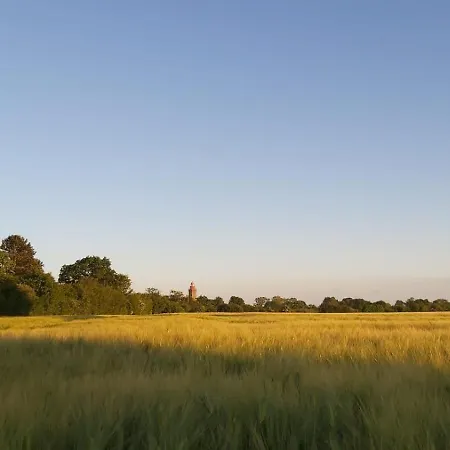 Haus Swantje - 1 - Meeresleuchten * Dahme (Schleswig-Holstein)